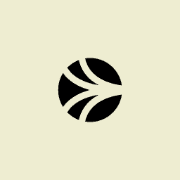BIG HAIR HAVEN logo